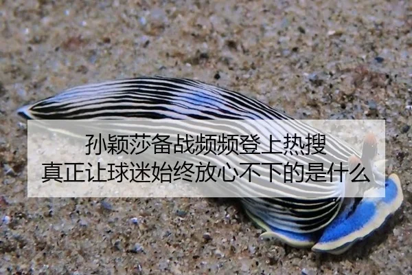 sun-ying-sha-bei-zhan-pin-pin-deng-shang-re-sou-zhen-zheng-rang-qiu-mi-shi-zhong-fang-xin-bu-xia-de-shi-shen-me-2-389.jpg